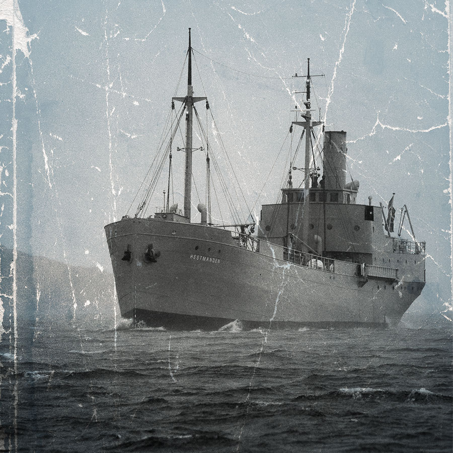 DS Hestmanden